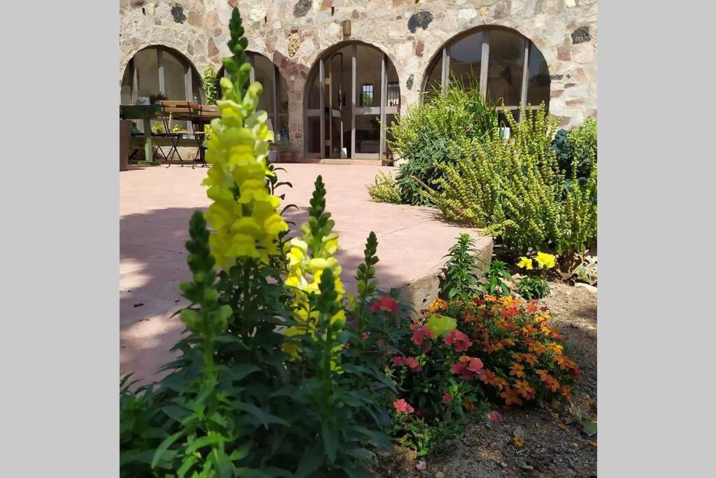 Ferienwohnung Eilat Stone - Patio אבן אילת - פטיו Exterior foto