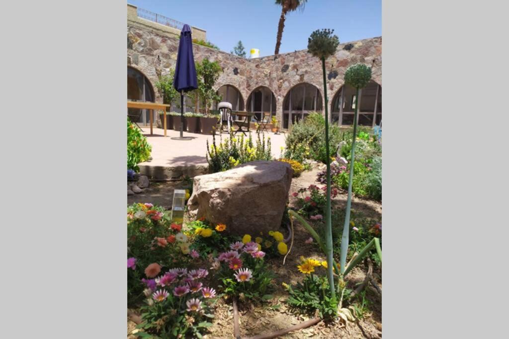 Ferienwohnung Eilat Stone - Patio אבן אילת - פטיו Exterior foto