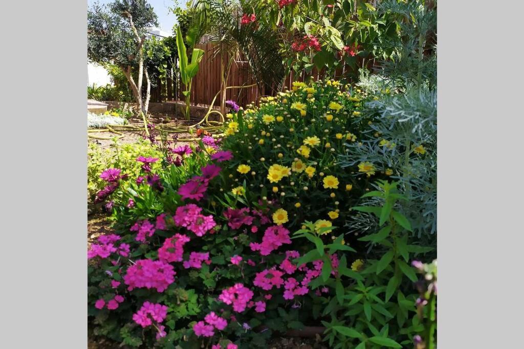 Ferienwohnung Eilat Stone - Patio אבן אילת - פטיו Exterior foto
